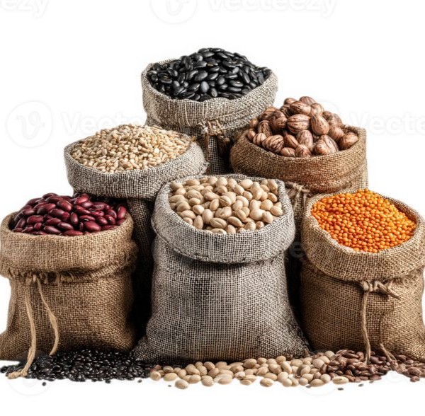 فروش عمده