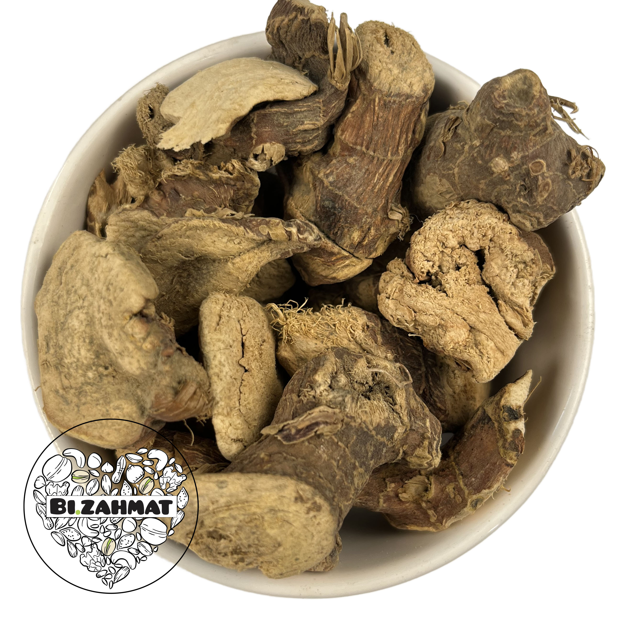 ریشه جوزهندی