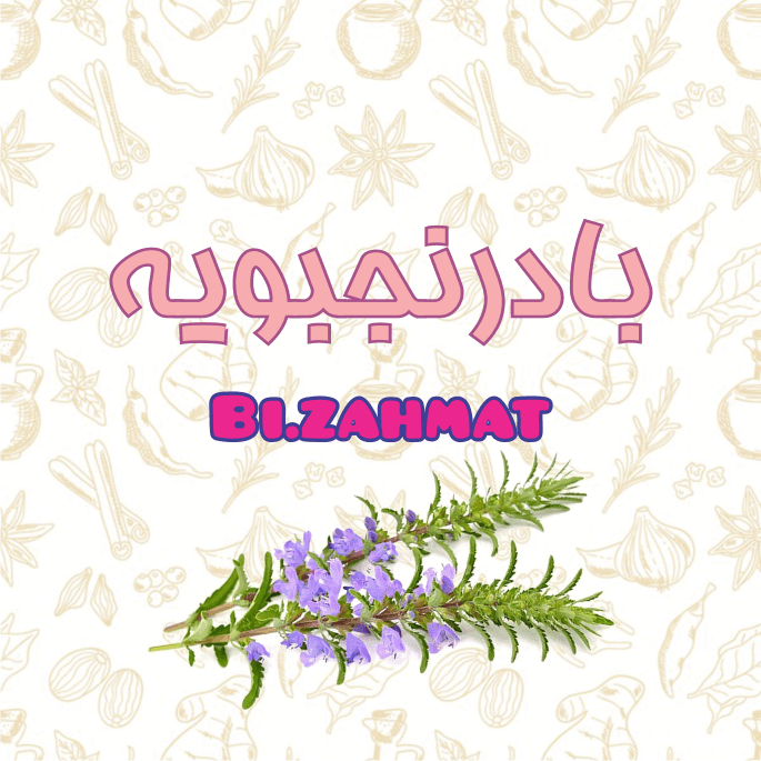 عرق  بادرنجبویه  (   480  CC  )