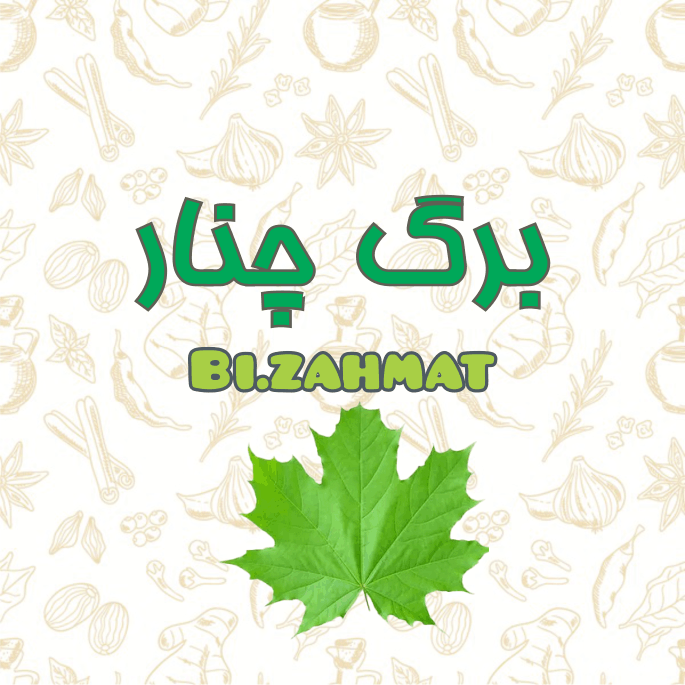 عرق  برگ  چنار  (   480  CC  )