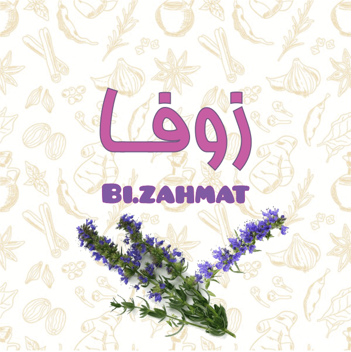 عرق  گل زوفا  (   480  CC  )
