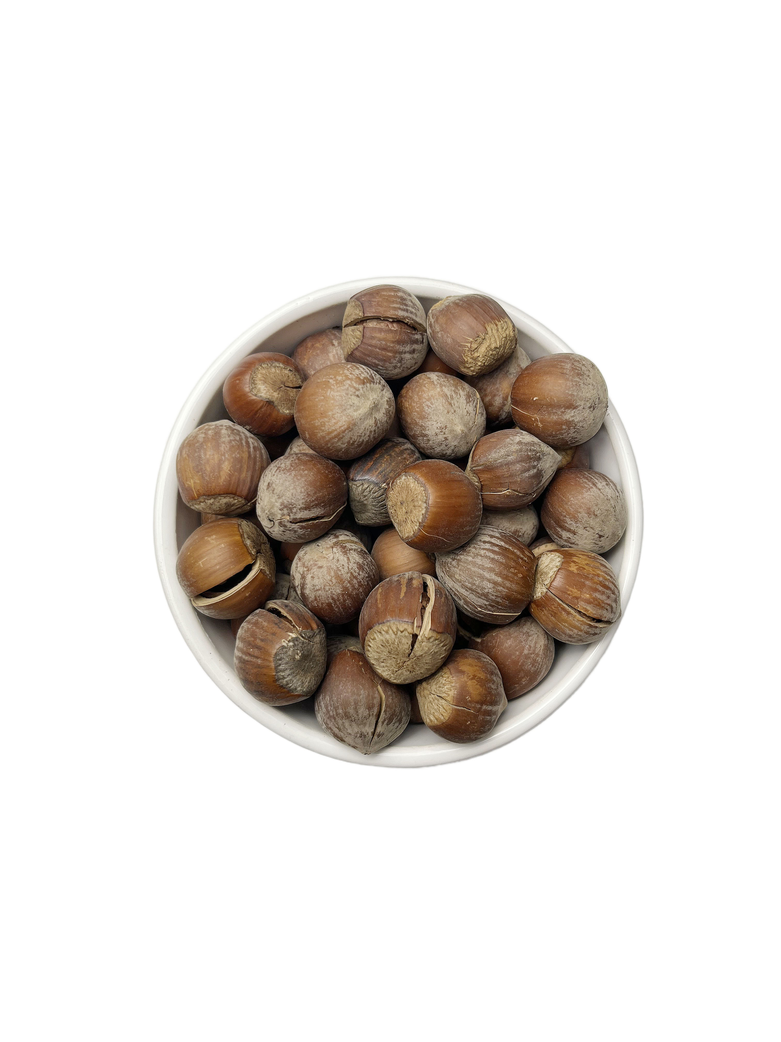 فندق با پوست خام ایرانی