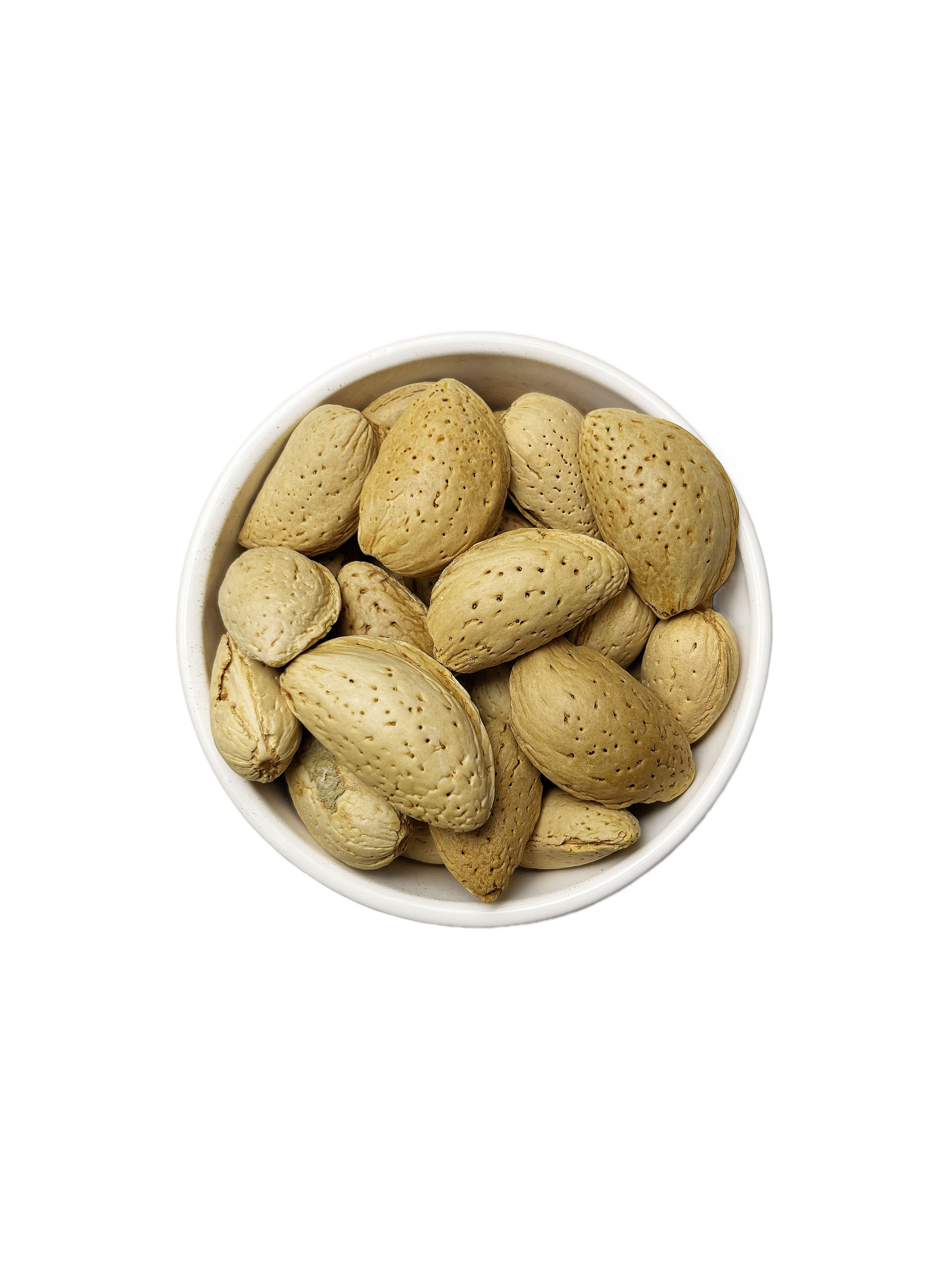 بادام سنگی ایرانی