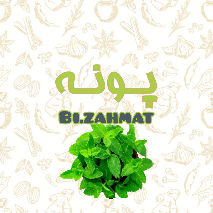 عرق  پونه  (   480  CC  )