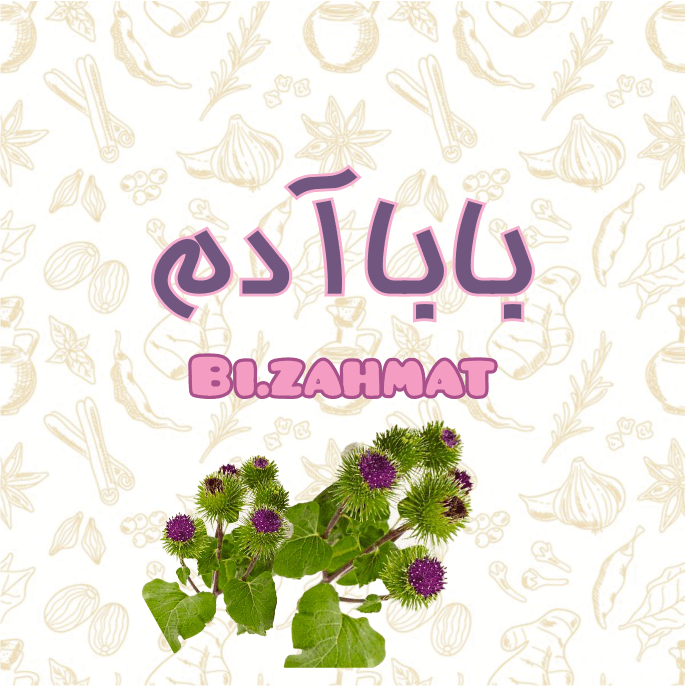 عرق  بابا  آدم  (   480  CC  )