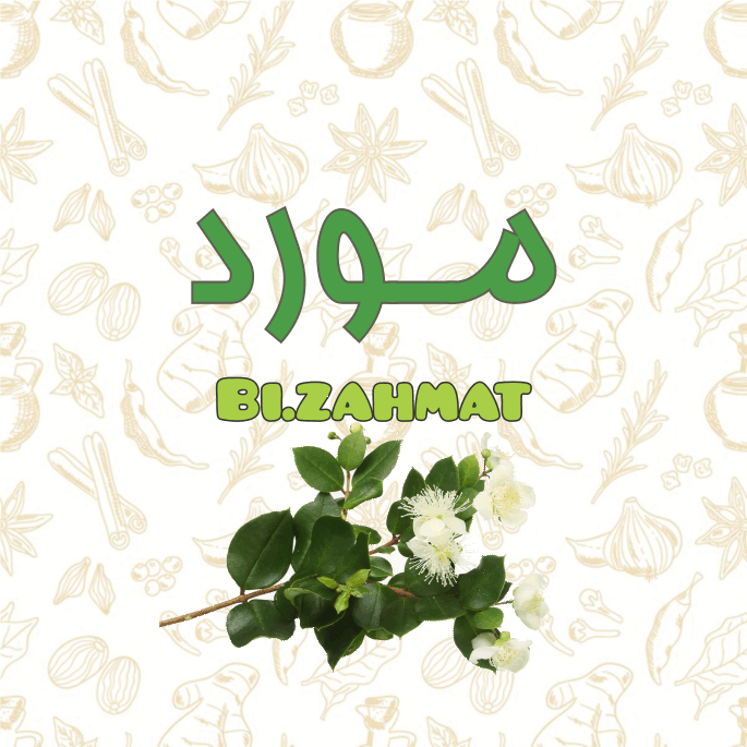 عرق  مورد  (   480  CC  )