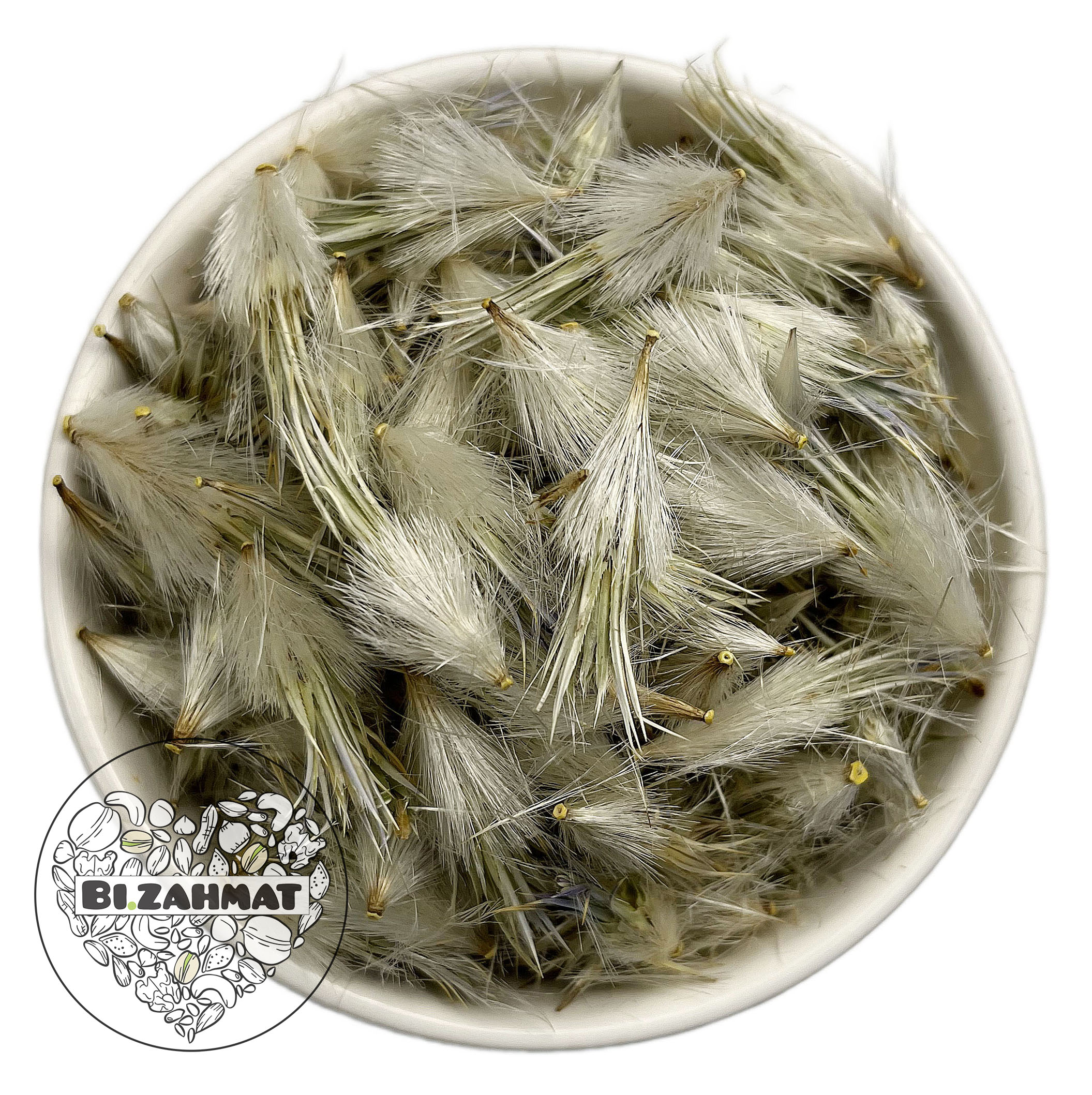 قاصدک (گیاه)