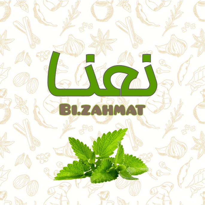 عرق  نعنا  (   480  CC  )